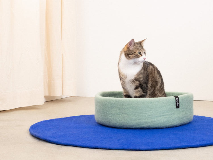 Fijne kattenmand
