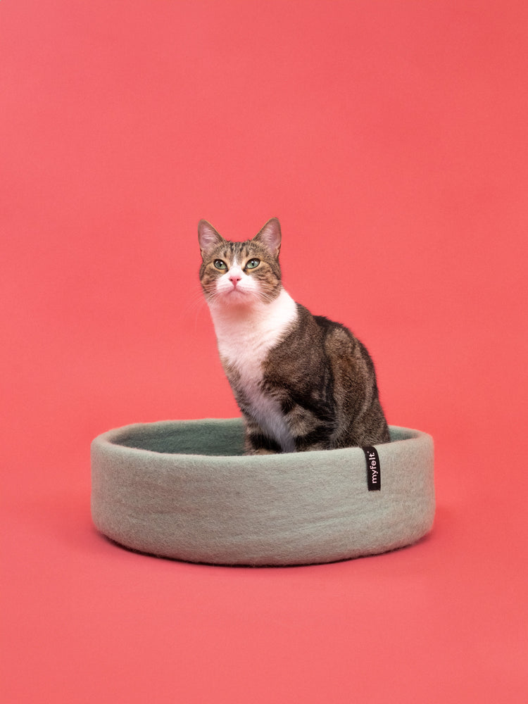 Fijne kattenmand