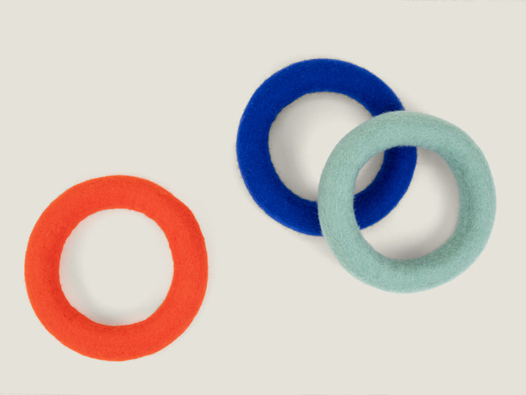 Fijn hondenspeeltje - ring