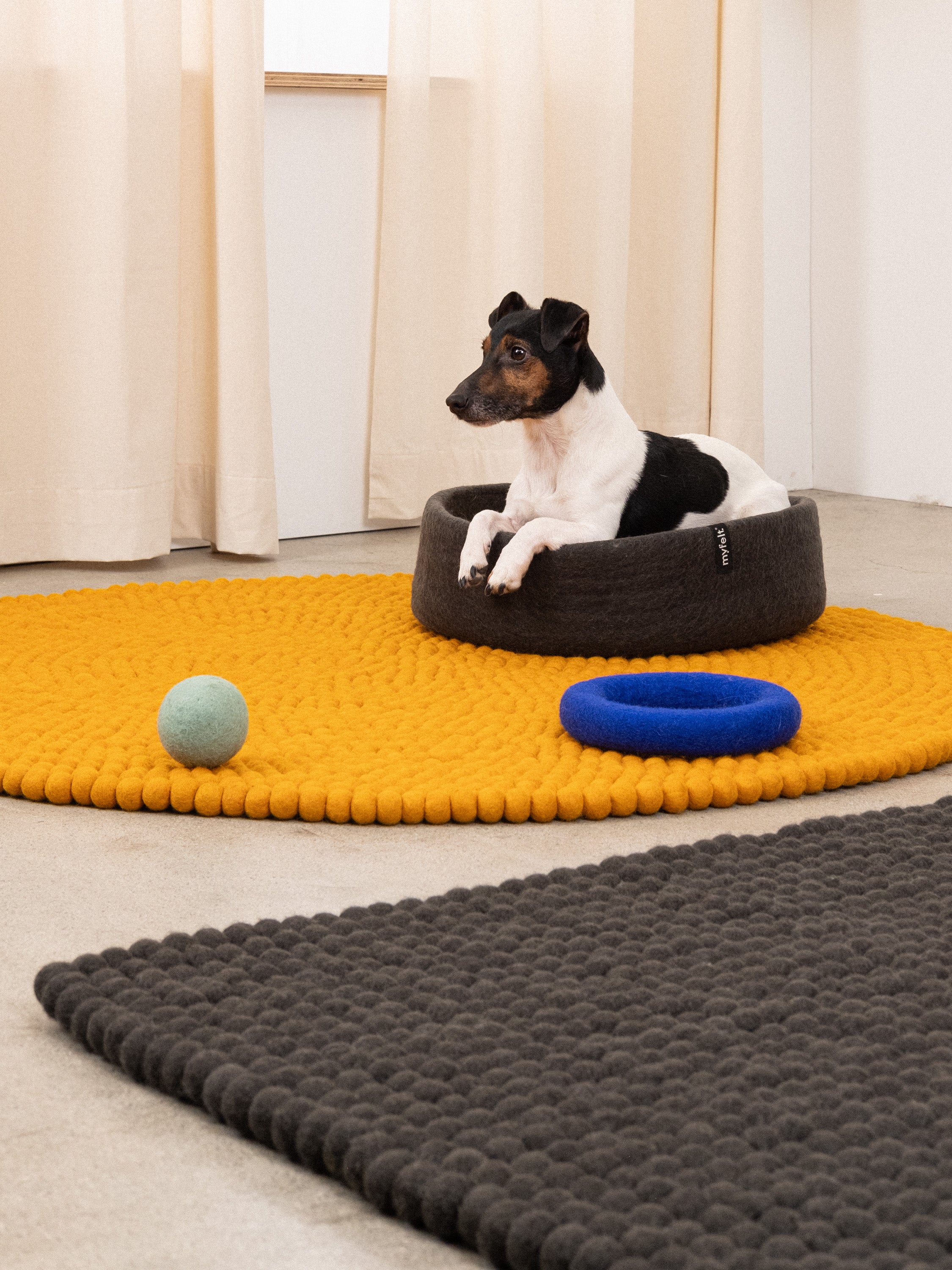 Hundebettenmanufaktur Similpelle Hondenbed, van kunstleer, 120 cm x 100 cm, bruin Hundebettenmanufaktur Similpelle Hondenbed, van kunstleer, 120 cm x 100 cm, bruin